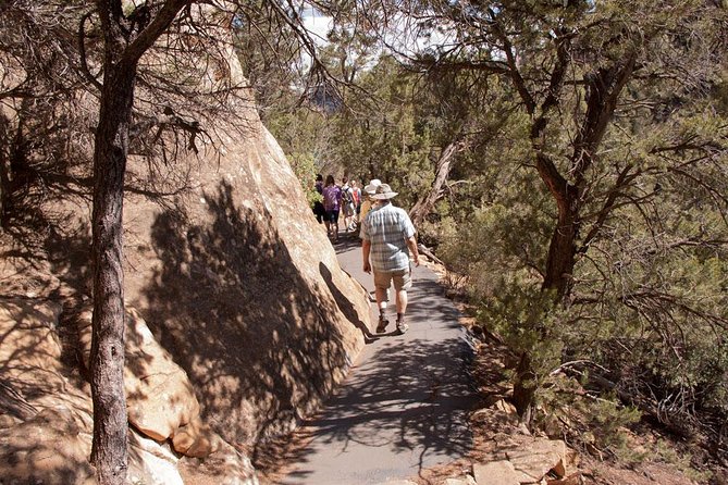 Mesa Verde Highlights Tour - Health and Accessibility Information