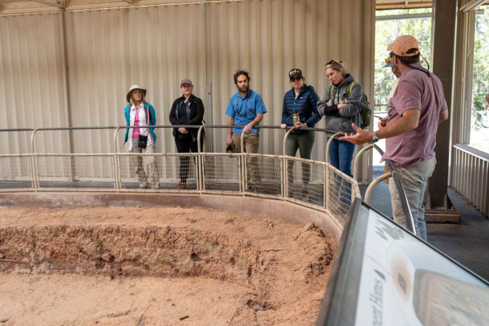 Mesa Verde National Park Tour With Archaeology Guide - Panoramic Views of the Four Corners