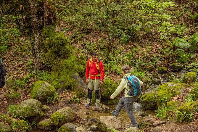 Meteora Small Group Hiking Tour With Transfer and Monastery Visit - Monastery Visit and Hiking Highlights