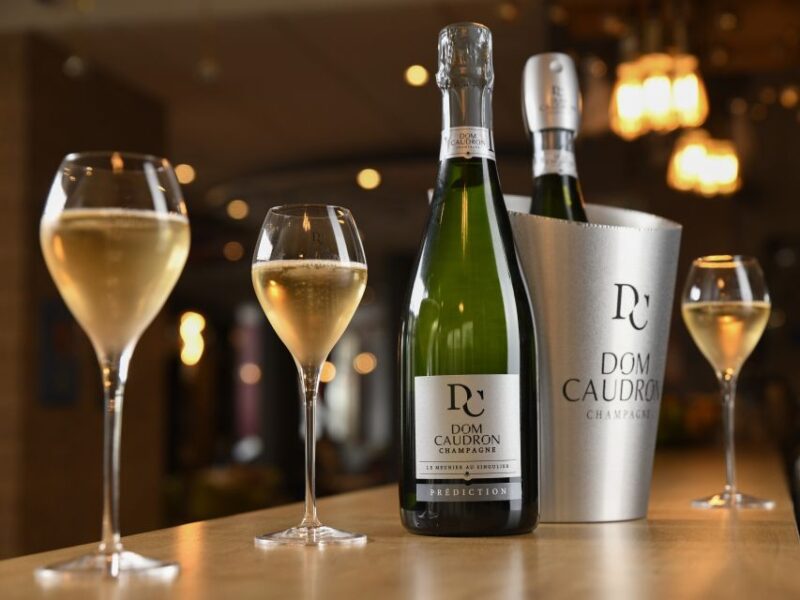 Meunier Experience - English Tour - Champagne Passy-Grigny - Key Points