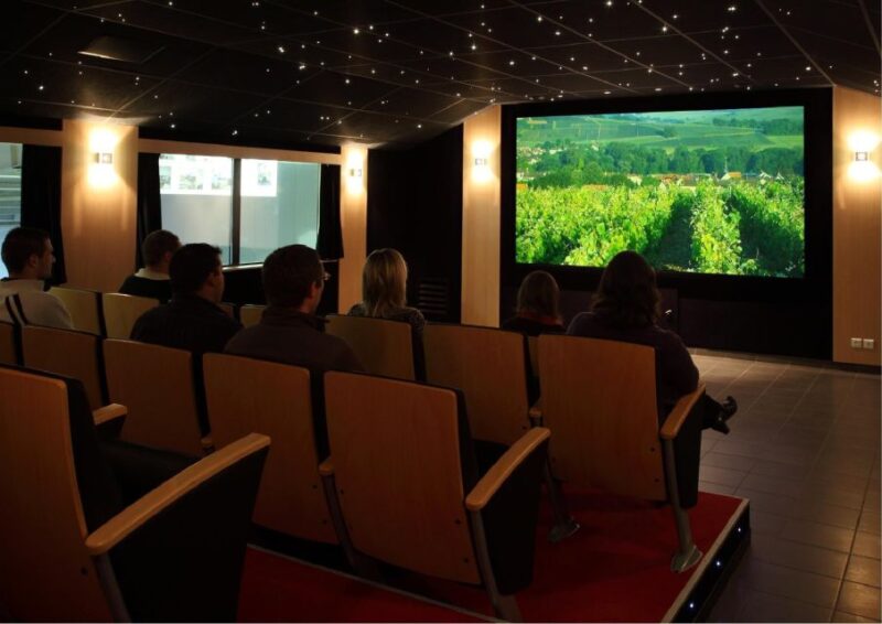 Meunier Experience - English Tour - Champagne Passy-Grigny - Highlights of the Tour