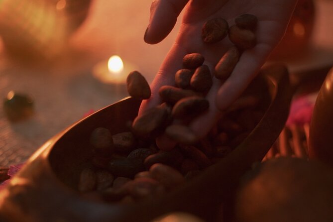 Mexican Cacao Ceremony in Mexico City - Meeting and Pickup Information