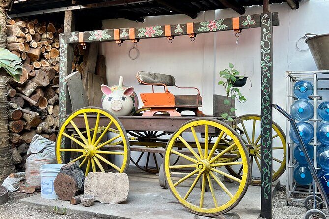 Mexican Food Bites Experience - What to Expect from the Mexican Food Bites Experience