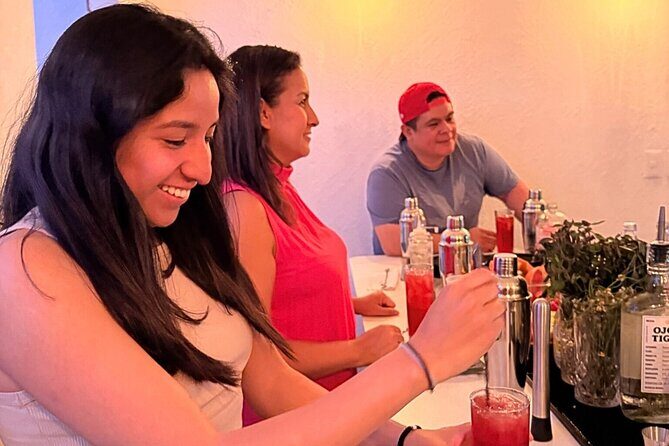 Mexican Mixology Workshop with Panoramic View in Coyoacán - An Authentic Cultural Twist in the Heart of Coyoacán