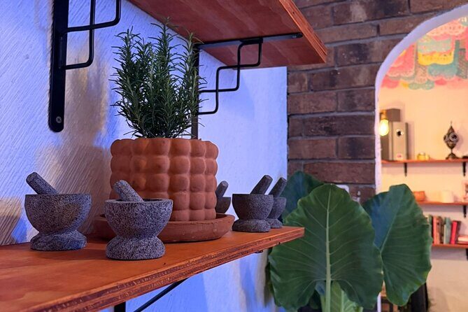 Mexican Mixology Workshop with Panoramic View in Coyoacán - The Flavors and the View