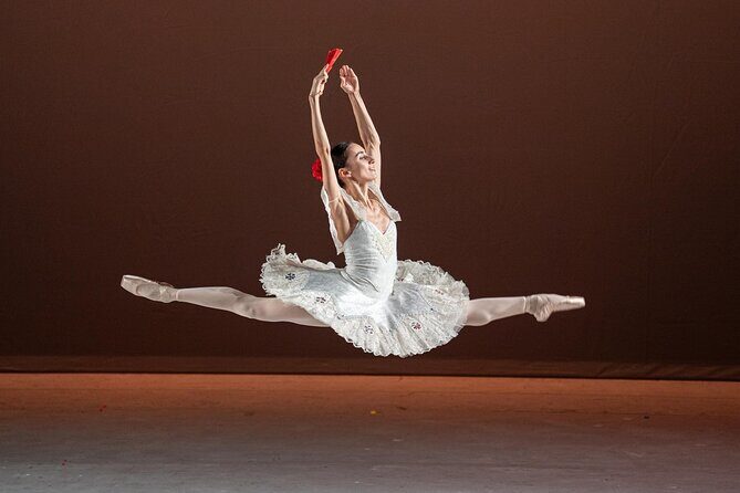 Mexico Authentic Folk Ballet Xochimilco and Coyoacán - Practical Aspects and Logistics