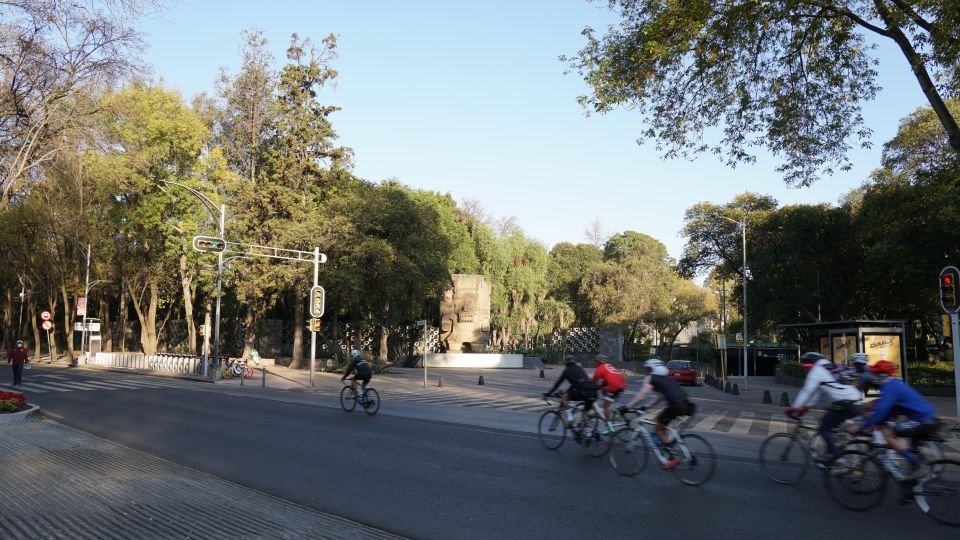 Mexico City: 19 City Highlights Bicycle Tour - Key Points