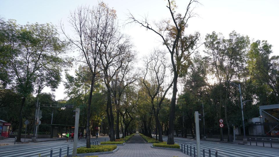 Mexico City: 19 City Highlights Bicycle Tour - Group Size and Inclusions