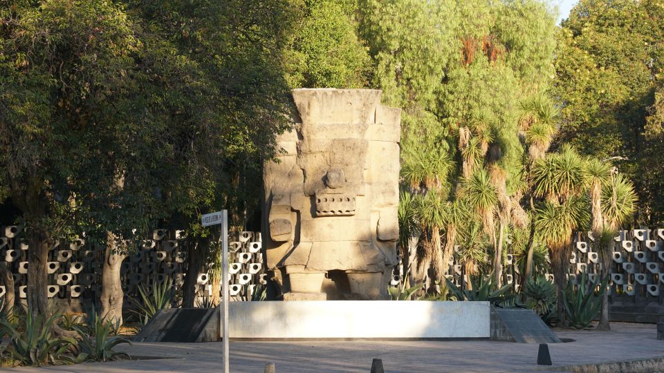 Mexico City: 19 City Highlights Bicycle Tour - Neighborhood Cycling