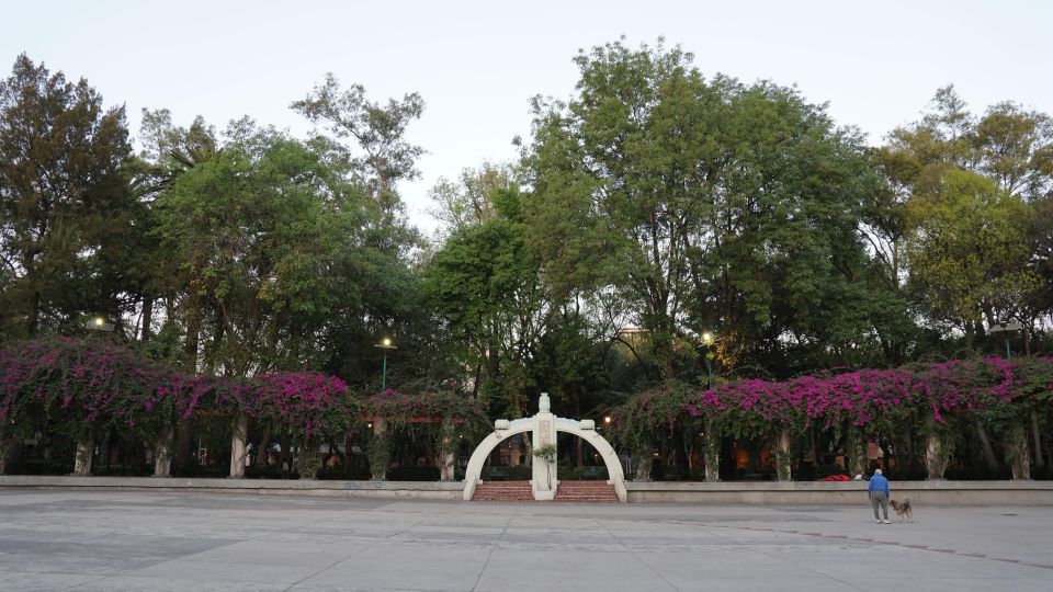 Mexico City: 19 City Highlights Bicycle Tour - Photography Opportunities