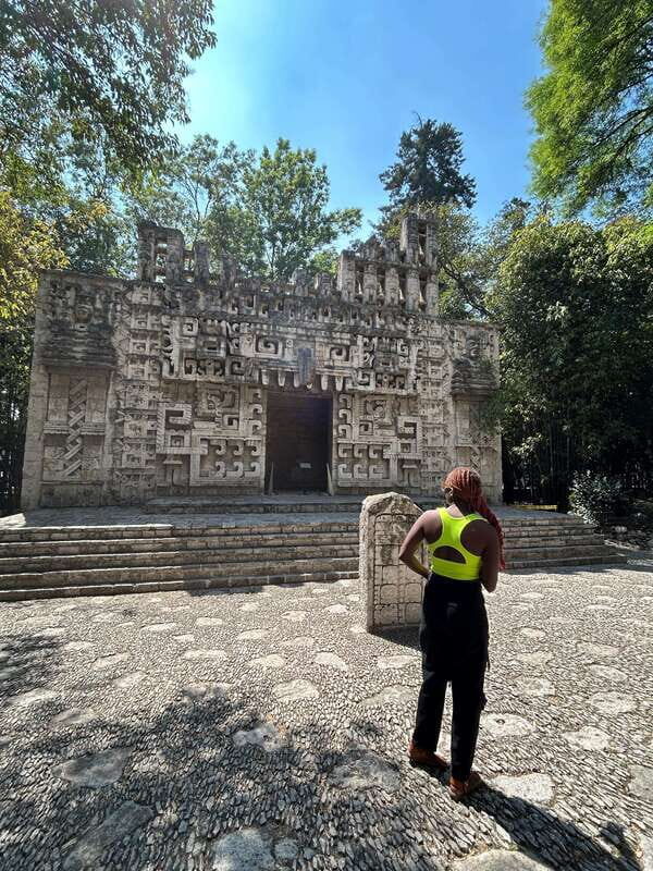 Mexico City: 1960s &1970s Mexican Architecture Walking Tour - Why This Tour Offers Real Value