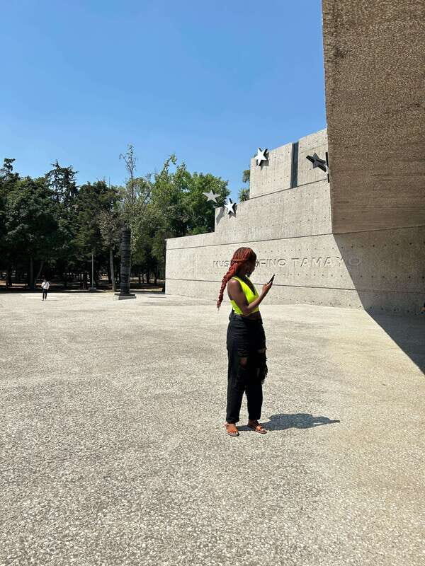 Mexico City: 1960s &1970s Mexican Architecture Walking Tour - Who Should Not Miss This Tour