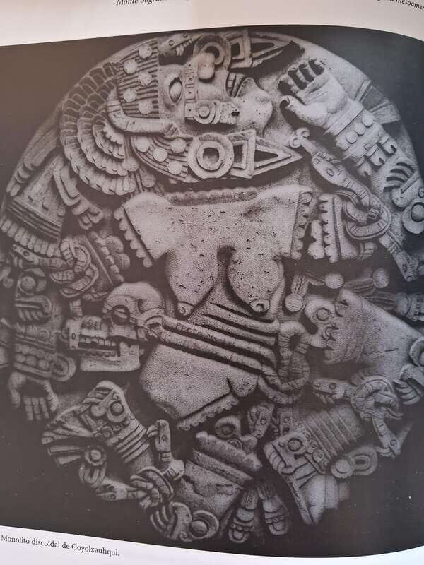 Mexico City: Art and Food Tour with Lunch - Key Points