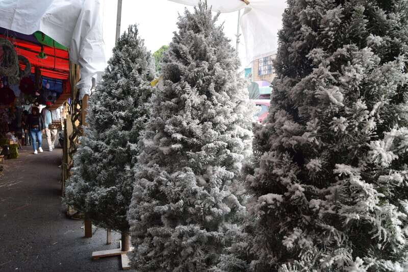 Mexico City: Best markets of the city walking tour - The Value of This Tour