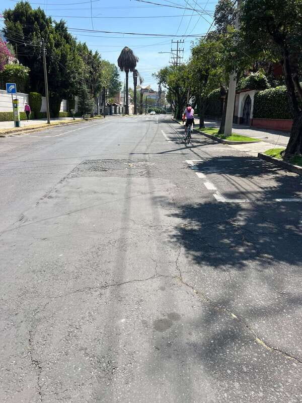 Mexico City: Bike, Cannabis, Nature, Food, Culture and History. - An In-Depth Look at the Experience