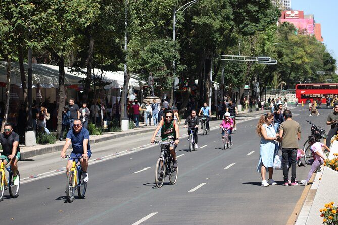 Mexico City Bike Rental - A Closer Look at the Mexico City Bike Rental Experience