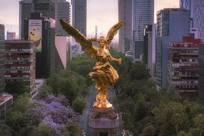 Mexico City Bike Tour: Pedal through Historic Landmarks - Introduction