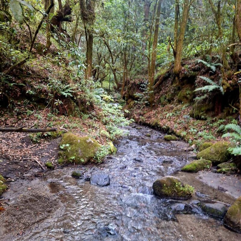 Mexico City: Bubble Waterfall Private Hike with Pickup - Value and Practicality
