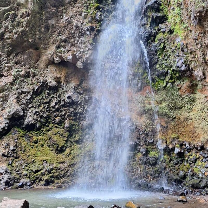 Mexico City: Bubble Waterfall Private Hike with Pickup - Why This Tour Stands Out