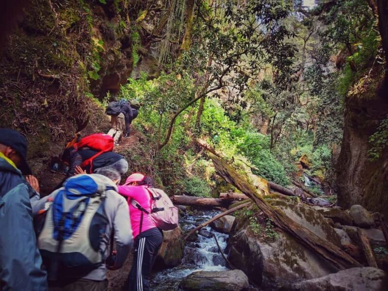 Mexico City: Cascada de Hueyapan Private Hiking Tour - Key Points
