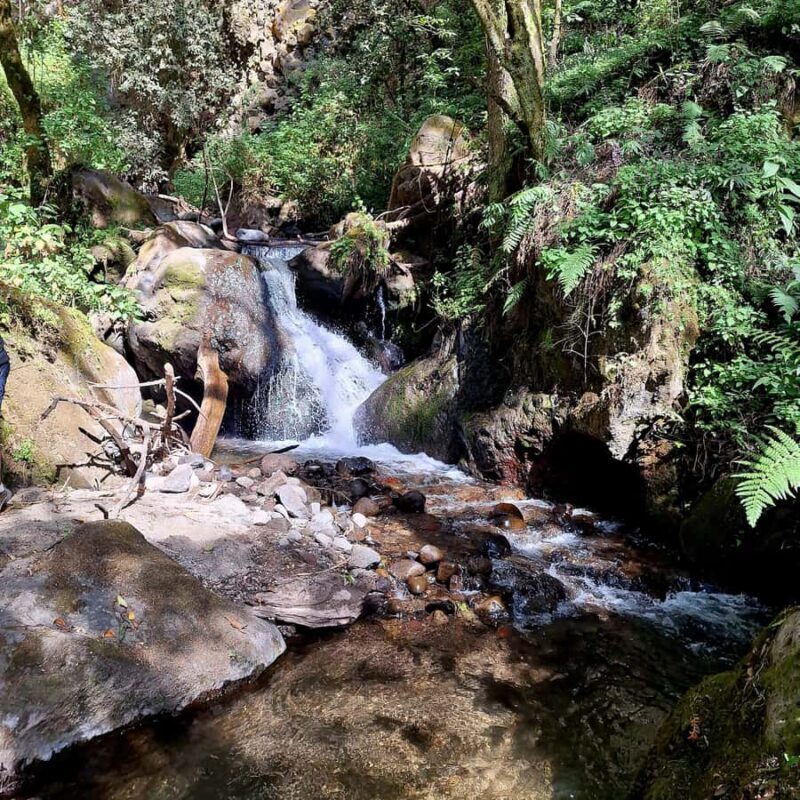 Mexico City: Cascada de Hueyapan Private Hiking Tour - The Experience from Reviews