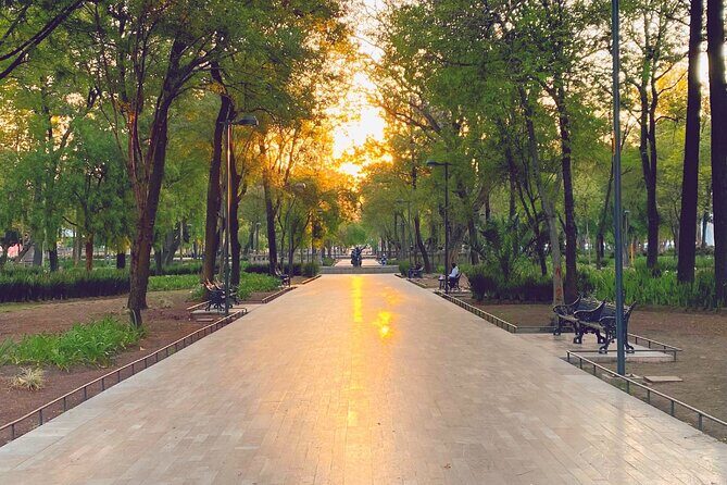 Mexico City Centro Historico Private Tour - Key Points