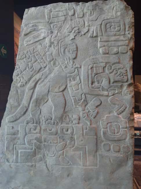 Mexico City: Chapultepec Park and Museums Walking Tour - Exploring Each Stop in Detail