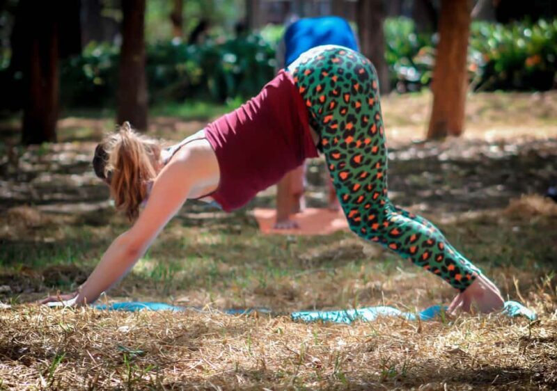 Mexico City: Chapultepec Park Yoga Class with Sound Bath - What Past Participants Say