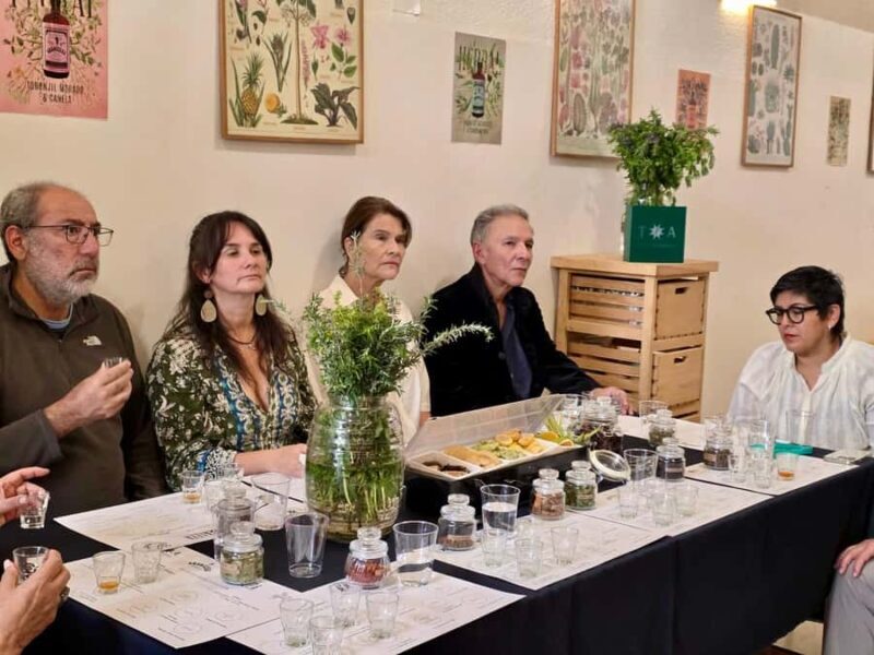 Mexico City: Cocktails Tasting, Lucha Libre & Tacos - The Distillery Experience