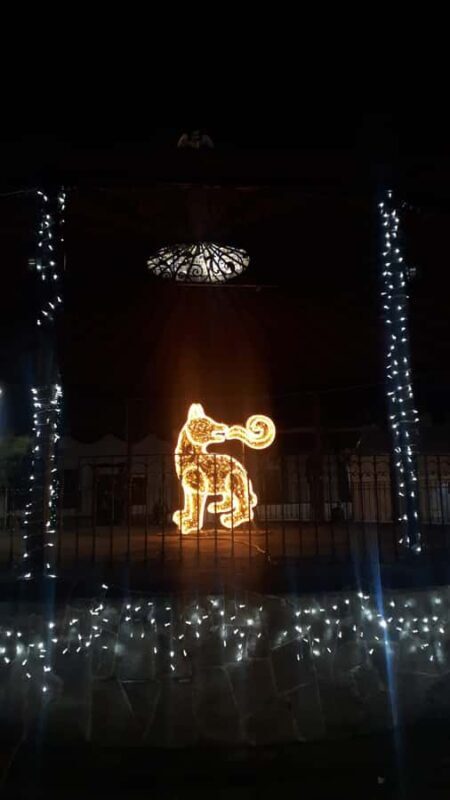 Mexico City: Coyoacán Tour, Frida Kahlo Museum & Breakfast - The Sum Up