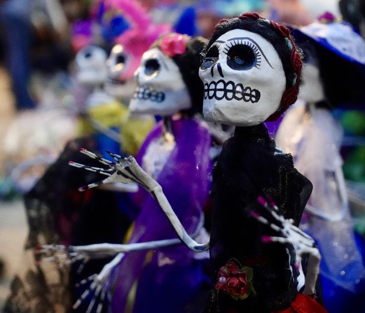 Mexico City: Day of the Dead Guided Tour - Pickup Locations and Drop-off Destinations