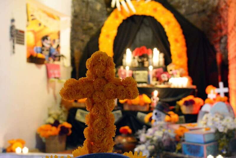 Mexico City: Day of the Dead House and craft workshop - Exploring the Tour in Detail