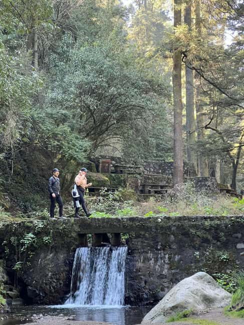 Mexico City: Desierto de los Leones Hike & Ex-Convent Tour - Who Will Love This Tour?