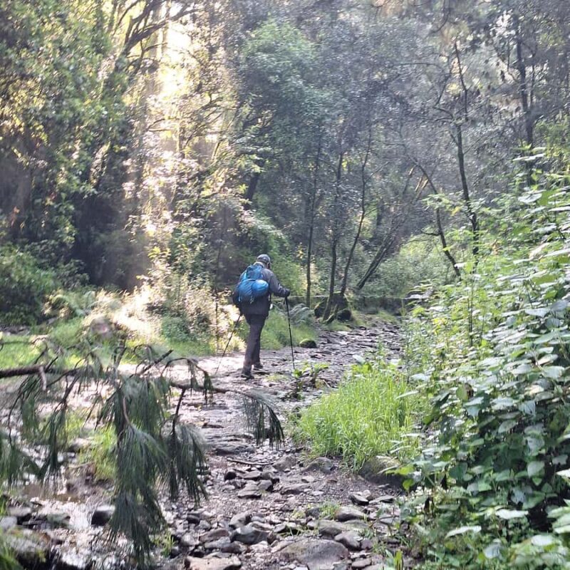 Mexico City: Diamond Waterfall Private Hiking Tour - Introduction