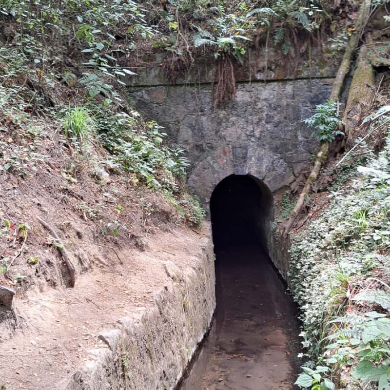 Mexico City: Diamond Waterfall Private Hiking Tour - Pricing and Overall Value