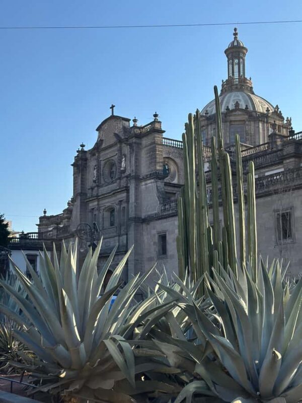 Mexico City: Downtown Walking Tour, a view from the past to the present - Key Points