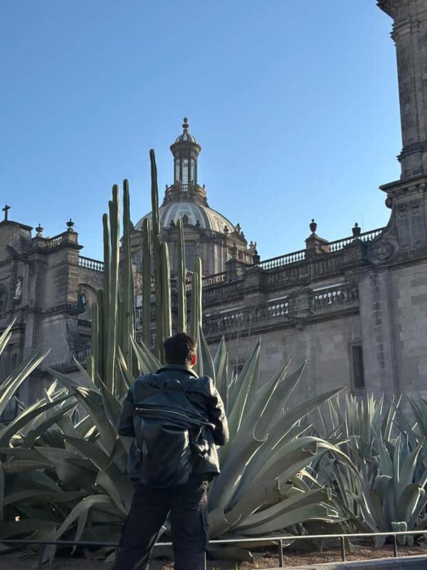 Mexico City: Downtown Walking Tour, a view from the past to the present - A Deep Dive into the Itinerary