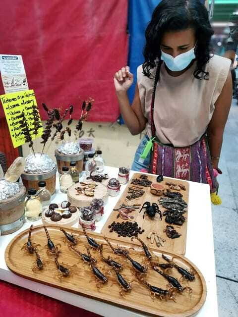 Mexico City: Eat & Explore Local Markets Tour - The Practicalities