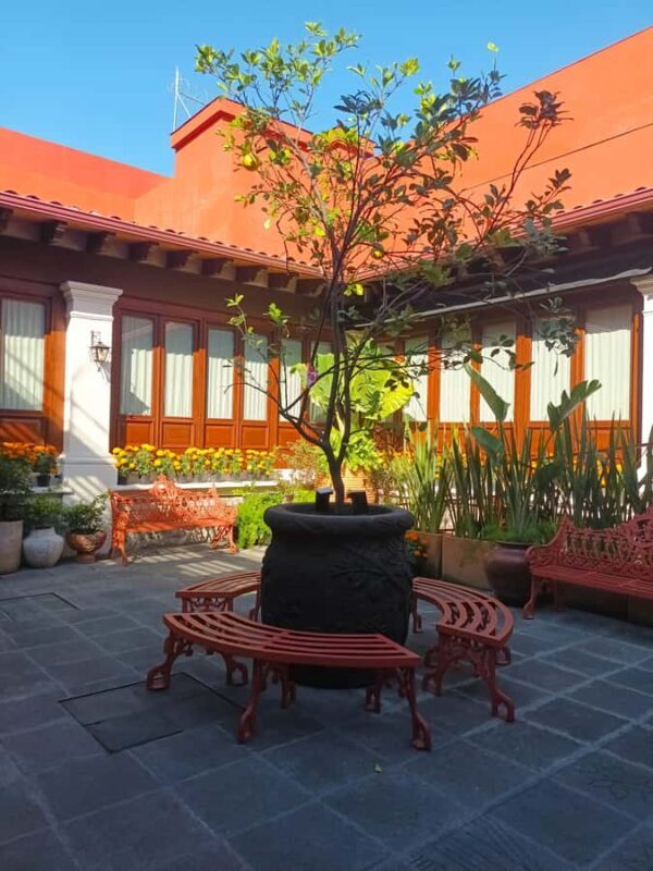 Mexico City: Entrance to the Frida Kahlo Museum, Anahuacalli Museum, and Casa Kahlo - Authentic Experiences and Honest Insights