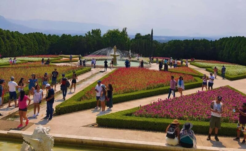 Mexico City: Explore Mexican Gardens and Tepoztlan Town - Key Points