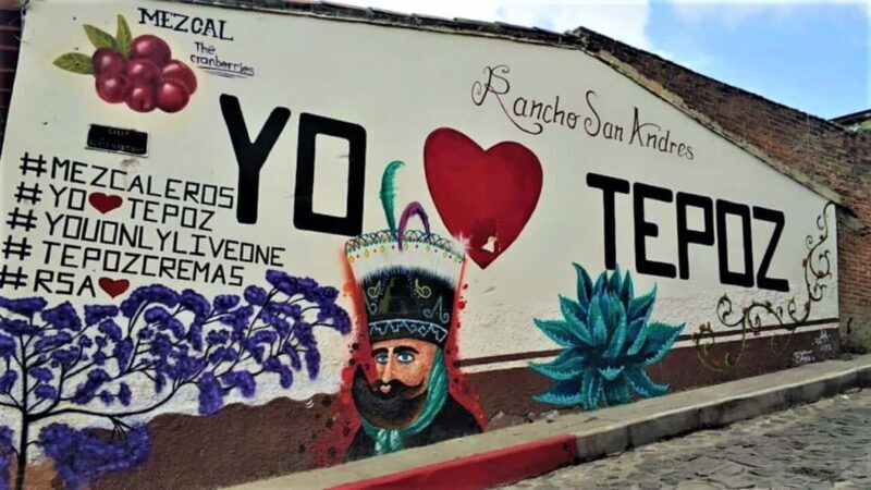 Mexico City: Explore Mexican Gardens and Tepoztlan Town - Final Thoughts: Is This Tour Right for You?