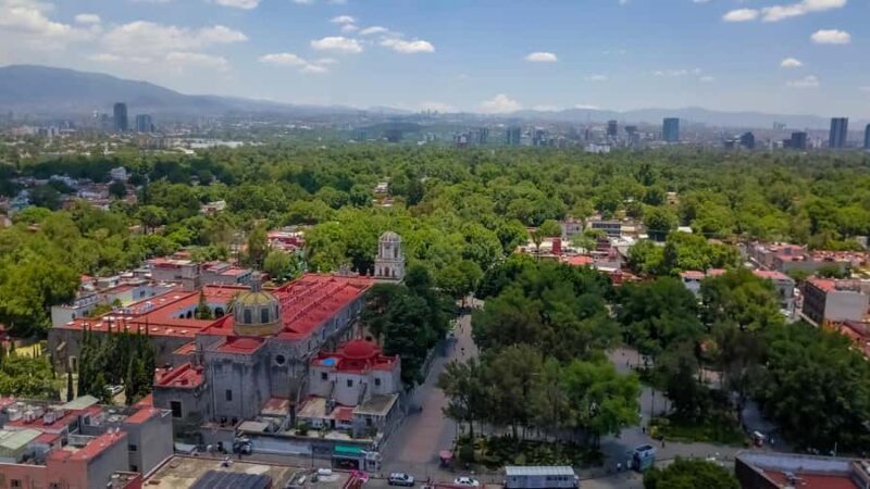 Mexico City: Frida Kahlo City Tour, with optional museum and Xochimilco - What Reviewers Say  