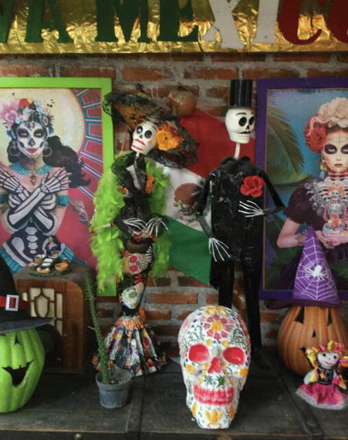 Mexico City: Frida Kahlo, Coyoacán, and Xochimilco Day Tour - Key Points