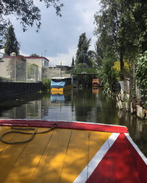 Mexico City: Frida Kahlo, Coyoacán, and Xochimilco Day Tour - A Practical Look at the Tour