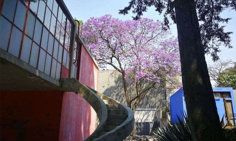 Mexico City: Frida Kahlo-Diego Rivera Studio House Tour - A Practical Review of the Frida Kahlo-Diego Rivera Studio House Tour