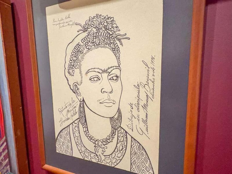 Mexico City: Frida Kahlo Museum or Casa Kahlo Entry - An Honest Look at the Experience