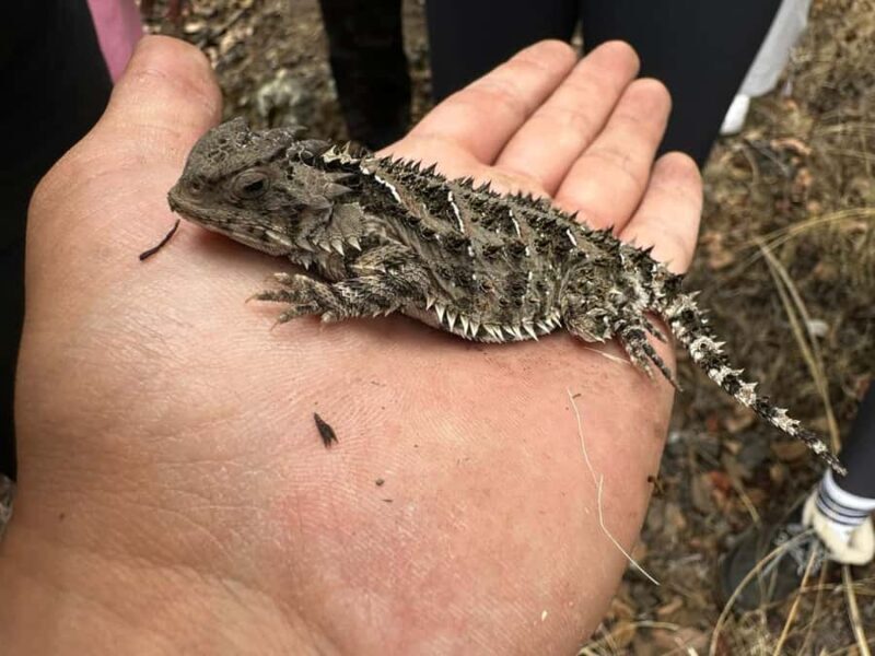 Mexico City: Guided Tour of the Caves of an Inactive Volcano - FAQ