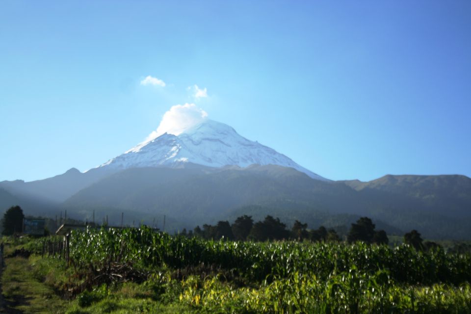 Mexico City: Guided Volcano Trek With Lunch - Trekking Through Volcanic Wilderness