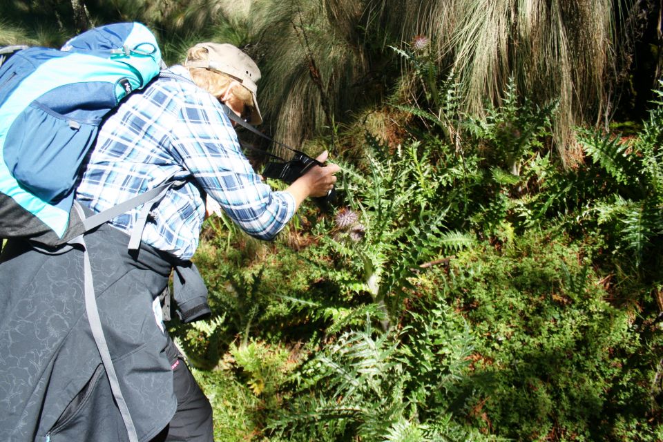 Mexico City: Guided Volcano Trek With Lunch - Descending to Amalacaxco Ravine