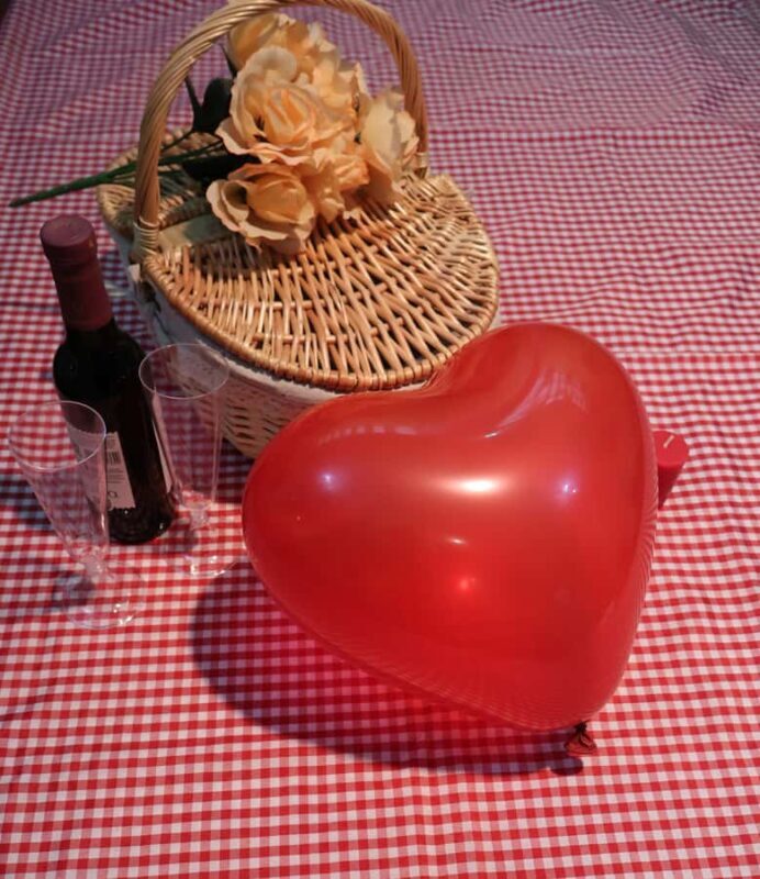 Mexico City: Hassle Free and ready to use Picnic Experience - The Cost and Value